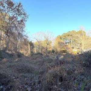 Photo #26 of Off Maple Ave, Sedley, VA 2.1 acres