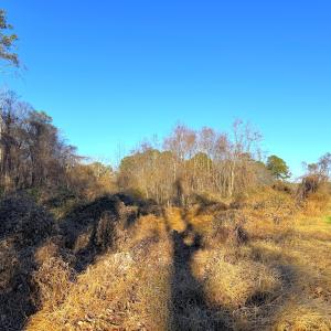 Photo #28 of Off Maple Ave, Sedley, VA 2.1 acres