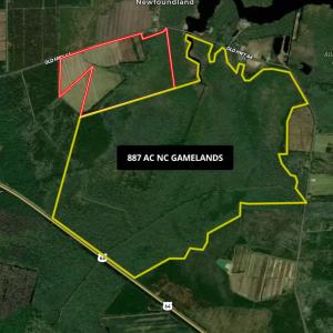 Photo #12 of Off Old Hwy 64, Columbia, NC 156.0 acres