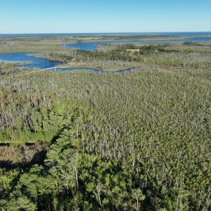Photo #13 of Off Old Hwy 64, Columbia, NC 156.0 acres