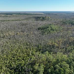 Photo #14 of Off Old Hwy 64, Columbia, NC 156.0 acres