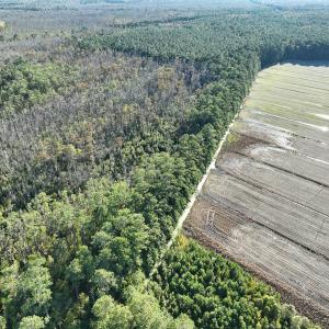 Photo #15 of Off Old Hwy 64, Columbia, NC 156.0 acres