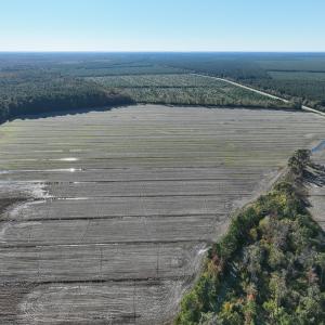Photo #16 of Off Old Hwy 64, Columbia, NC 156.0 acres