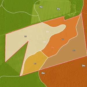 Photo #18 of Off Old Hwy 64, Columbia, NC 156.0 acres