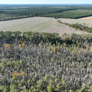 Photo #19 of Off Old Hwy 64, Columbia, NC 156.0 acres