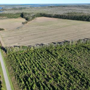 Photo #1 of Off Old Hwy 64, Columbia, NC 156.0 acres