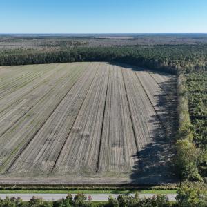 Photo #2 of Off Old Hwy 64, Columbia, NC 156.0 acres