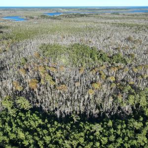 Photo #21 of Off Old Hwy 64, Columbia, NC 156.0 acres