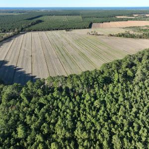 Photo #22 of Off Old Hwy 64, Columbia, NC 156.0 acres