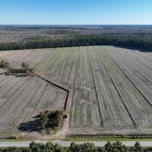 Photo #3 of Off Old Hwy 64, Columbia, NC 156.0 acres