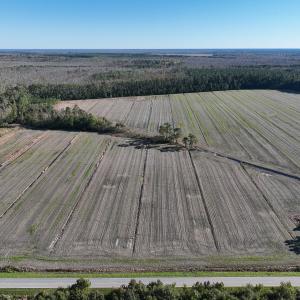Photo #4 of Off Old Hwy 64, Columbia, NC 156.0 acres