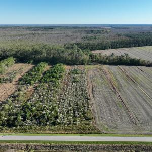Photo #5 of Off Old Hwy 64, Columbia, NC 156.0 acres
