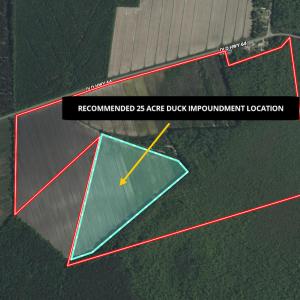 Photo #7 of Off Old Hwy 64, Columbia, NC 156.0 acres