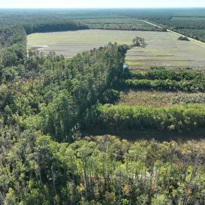 Photo #9 of Off Old Hwy 64, Columbia, NC 156.0 acres