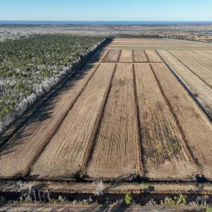 Photo #11 of Off Outfall Canal Road, Swan Quarter, NC 415.0 acres