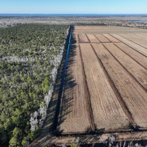 Photo #12 of Off Outfall Canal Road, Swan Quarter, NC 415.0 acres