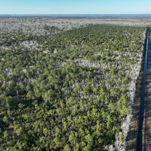 Photo #13 of Off Outfall Canal Road, Swan Quarter, NC 415.0 acres