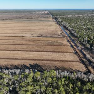 Photo #14 of Off Outfall Canal Road, Swan Quarter, NC 415.0 acres