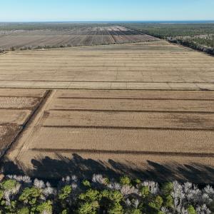 Photo #15 of Off Outfall Canal Road, Swan Quarter, NC 415.0 acres