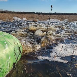 Photo #16 of Off Outfall Canal Road, Swan Quarter, NC 415.0 acres