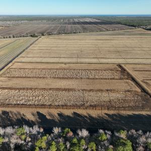 Photo #17 of Off Outfall Canal Road, Swan Quarter, NC 415.0 acres