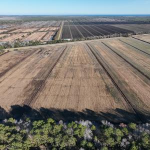 Photo #19 of Off Outfall Canal Road, Swan Quarter, NC 415.0 acres