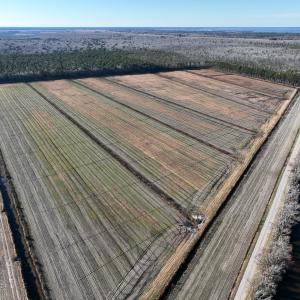 Photo #2 of Off Outfall Canal Road, Swan Quarter, NC 415.0 acres