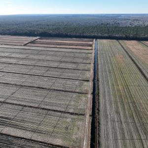 Photo #3 of Off Outfall Canal Road, Swan Quarter, NC 415.0 acres