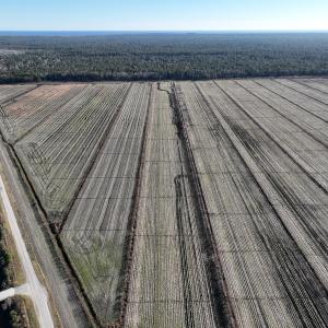 Photo #4 of Off Outfall Canal Road, Swan Quarter, NC 415.0 acres