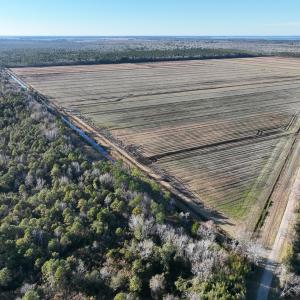 Photo #6 of Off Outfall Canal Road, Swan Quarter, NC 415.0 acres
