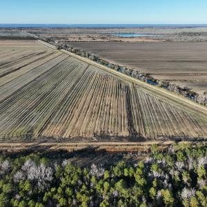 Photo #7 of Off Outfall Canal Road, Swan Quarter, NC 415.0 acres
