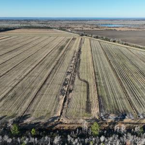 Photo #8 of Off Outfall Canal Road, Swan Quarter, NC 415.0 acres