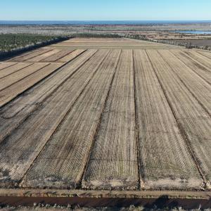 Photo #9 of Off Outfall Canal Road, Swan Quarter, NC 415.0 acres