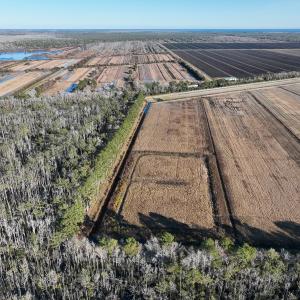 Photo #21 of Off Outfall Canal Road, Swan Quarter, NC 415.0 acres