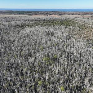 Photo #22 of Off Outfall Canal Road, Swan Quarter, NC 415.0 acres