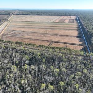 Photo #25 of Off Outfall Canal Road, Swan Quarter, NC 415.0 acres