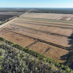 Photo #26 of Off Outfall Canal Road, Swan Quarter, NC 415.0 acres