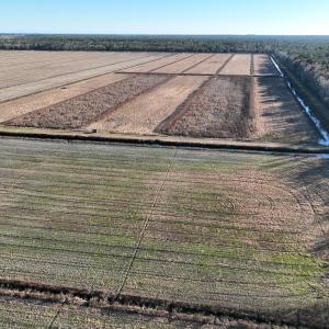 Photo #27 of Off Outfall Canal Road, Swan Quarter, NC 415.0 acres