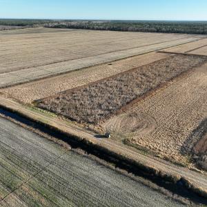 Photo #29 of Off Outfall Canal Road, Swan Quarter, NC 415.0 acres