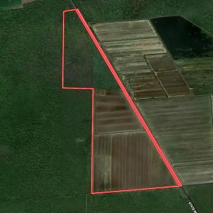 Photo #33 of Off Outfall Canal Road, Swan Quarter, NC 415.0 acres