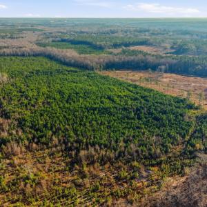 Photo #18 of Off Highway 34, Bishopville, SC 92.7 acres