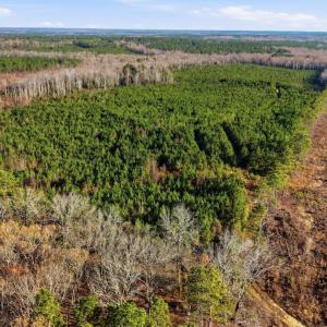 Photo #20 of Off Highway 34, Bishopville, SC 92.7 acres