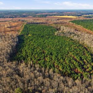Photo #6 of Off Highway 34, Bishopville, SC 92.7 acres