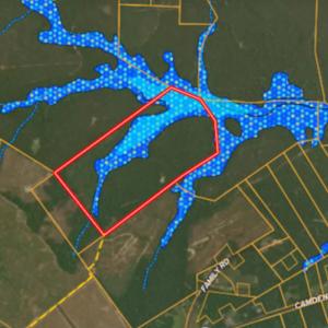 Photo #24 of Off Highway 34, Bishopville, SC 92.7 acres