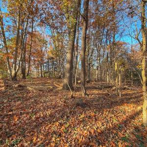 Photo #13 of Off Mabry Mill Rd, Henderson, NC 4.3 acres