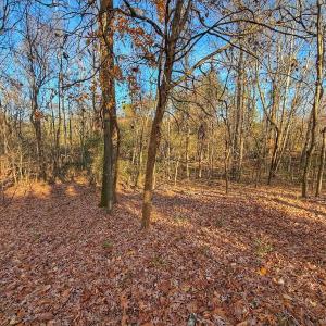 Photo #17 of Off Mabry Mill Rd, Henderson, NC 4.3 acres
