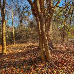 Photo #30 of Off Mabry Mill Rd, Henderson, NC 4.3 acres