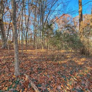 Photo #31 of Off Mabry Mill Rd, Henderson, NC 4.3 acres