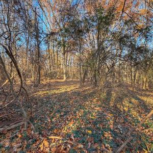 Photo #32 of Off Mabry Mill Rd, Henderson, NC 4.3 acres