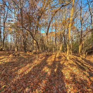 Photo #9 of Off Mabry Mill Rd, Henderson, NC 4.3 acres